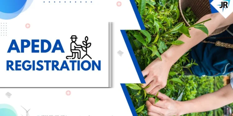 APEDA Registration – Eligibility & Documents Required