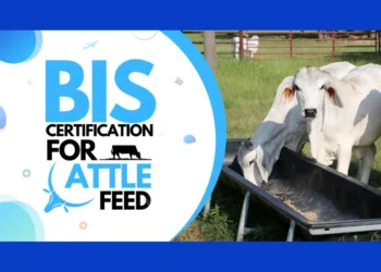 BIS Certification For Cattle Feed | BIS Certification Process