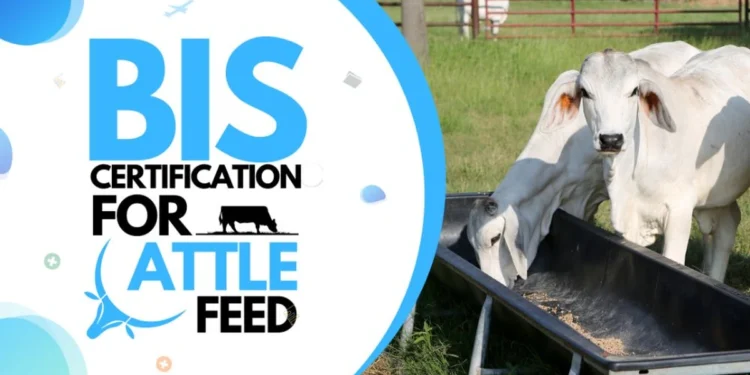 BIS Certification For Cattle Feed | BIS Certification Process