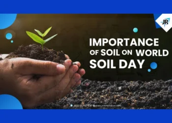 Exploring the Importance of Soil on World Soil Day
