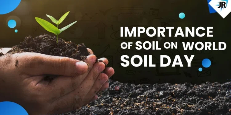 Exploring the Importance of Soil on World Soil Day