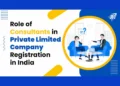 Role of Consultants in Private Limited Company Registration in India